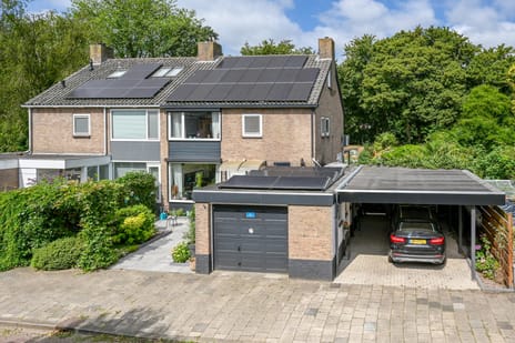 Tesselschadelaan 42