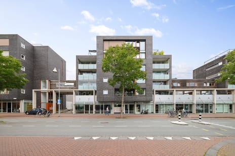 Molenstraat-Centrum 353