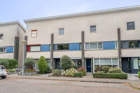 Kleine Vos 27