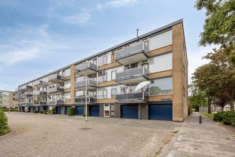 Seringenplantsoen 545
