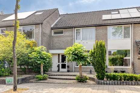 Groeneveld 8