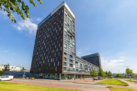 Het Hout 56