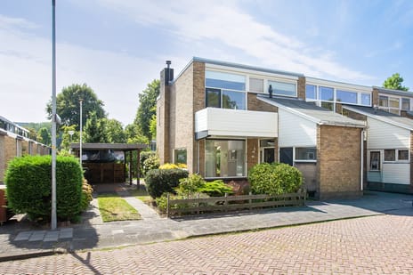 Jan van Goyenstraat 91