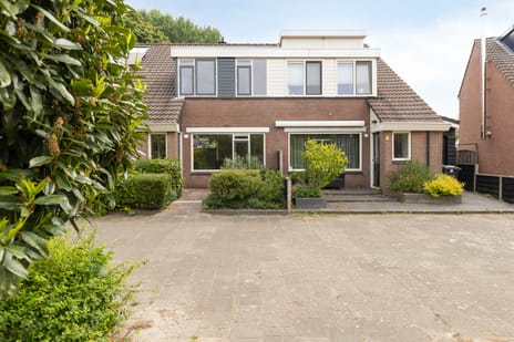 Witte Klaver 23