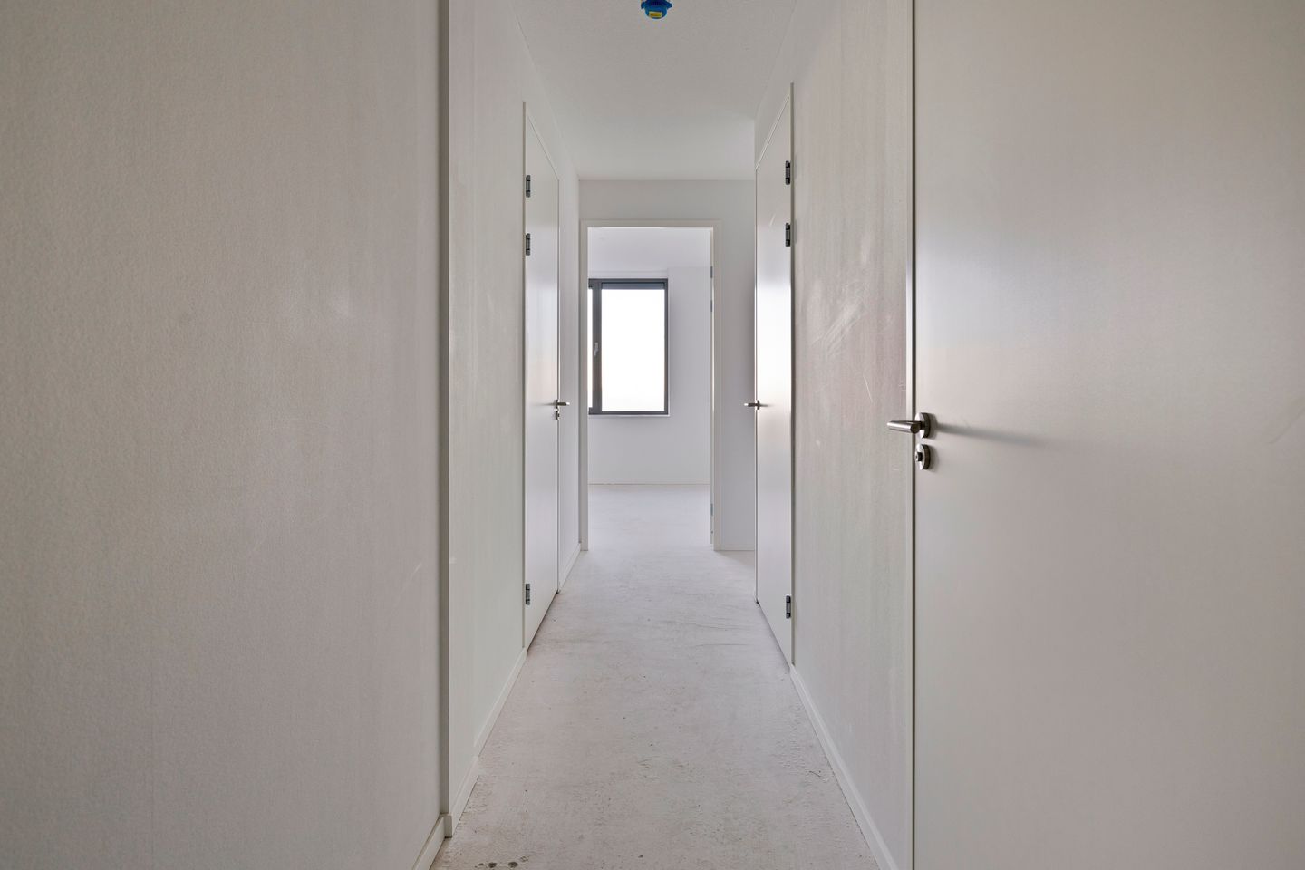 Plesostraat 237