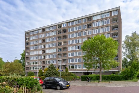 Jan van Goyenstraat 46