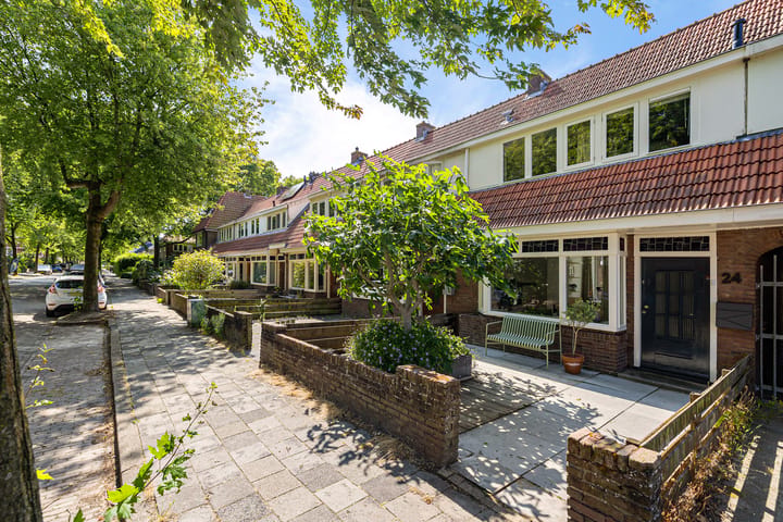 Frans van Mierisstraat 24