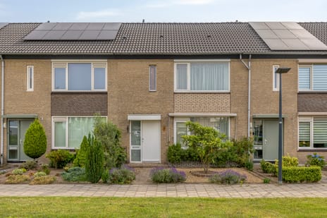 De Roerenmaker 11