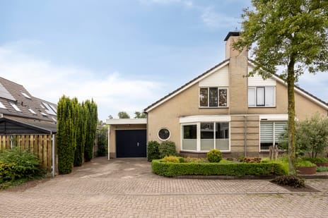 Randveld 7