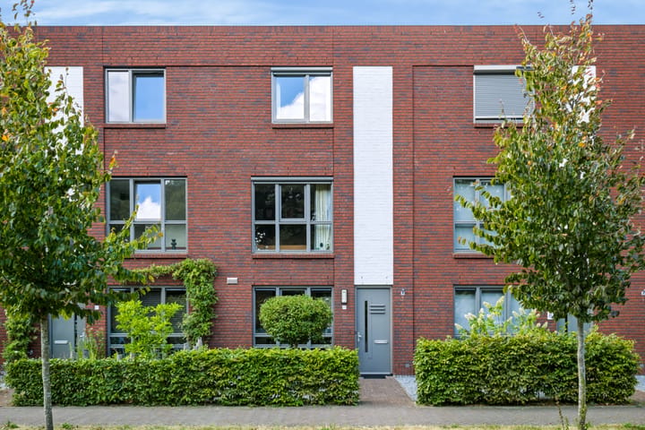 Vogelvlucht 25