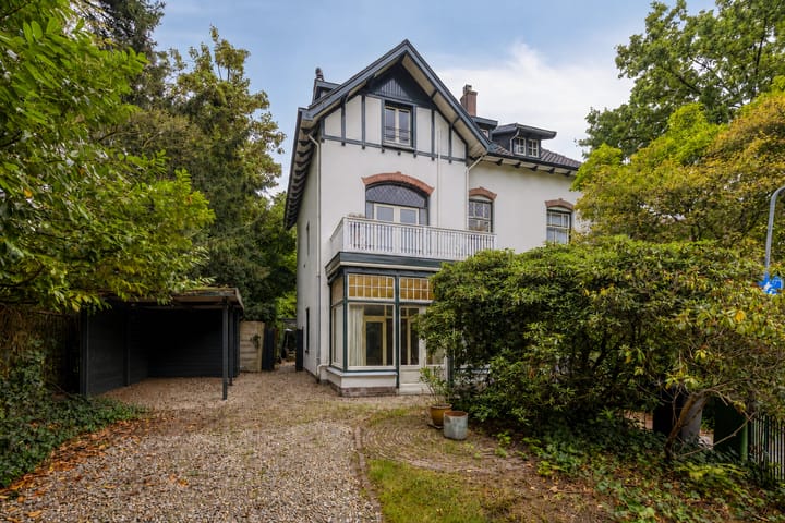 Tesselschadelaan 21