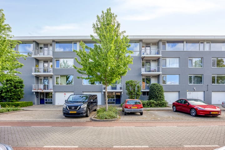 Pisanostraat 420