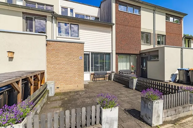 Zesde Haren 46