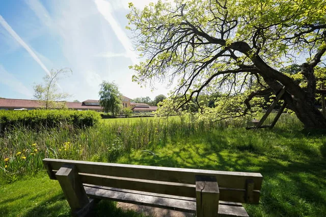 Hooge Riet 60
