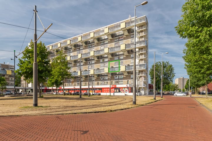 Dijkgraafplein 271