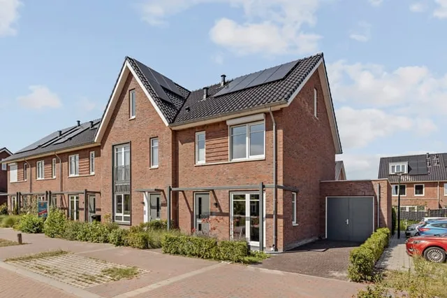 Steenmarter 12