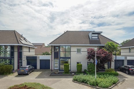 Zilveren Maan 5