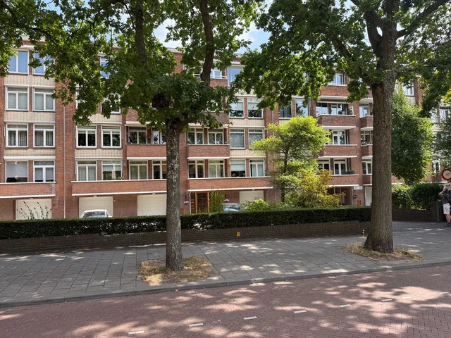 Zonnebloemstraat 217