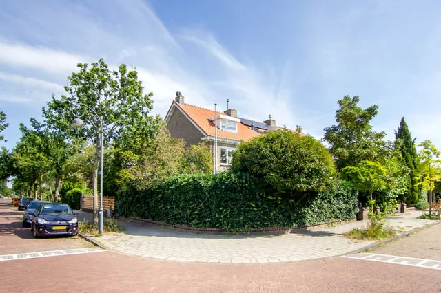 Duinroosplantsoen 6