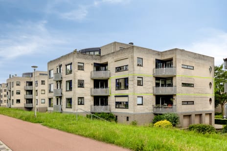 Sterrekruid 61