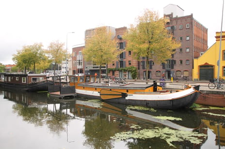 Hoendiep 1001