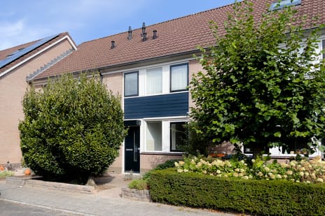 Bijenveld 15