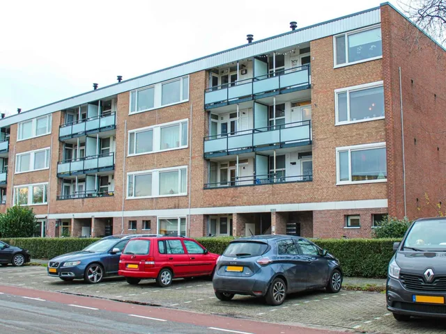 Molenstraat 313