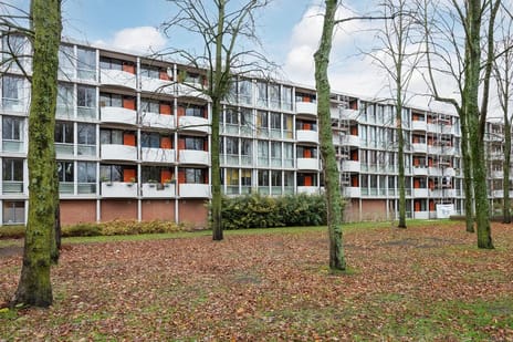 Het Hoogt 80