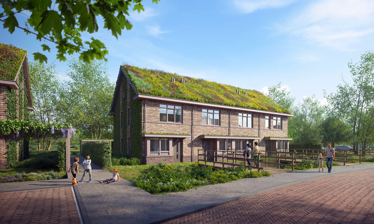 Korenbloem (Bouwnr. 5)