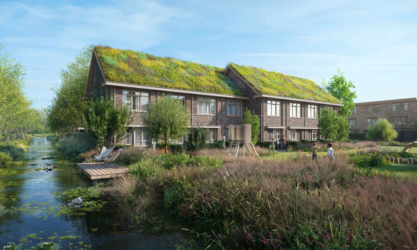 Korenbloem (Bouwnr. 5)