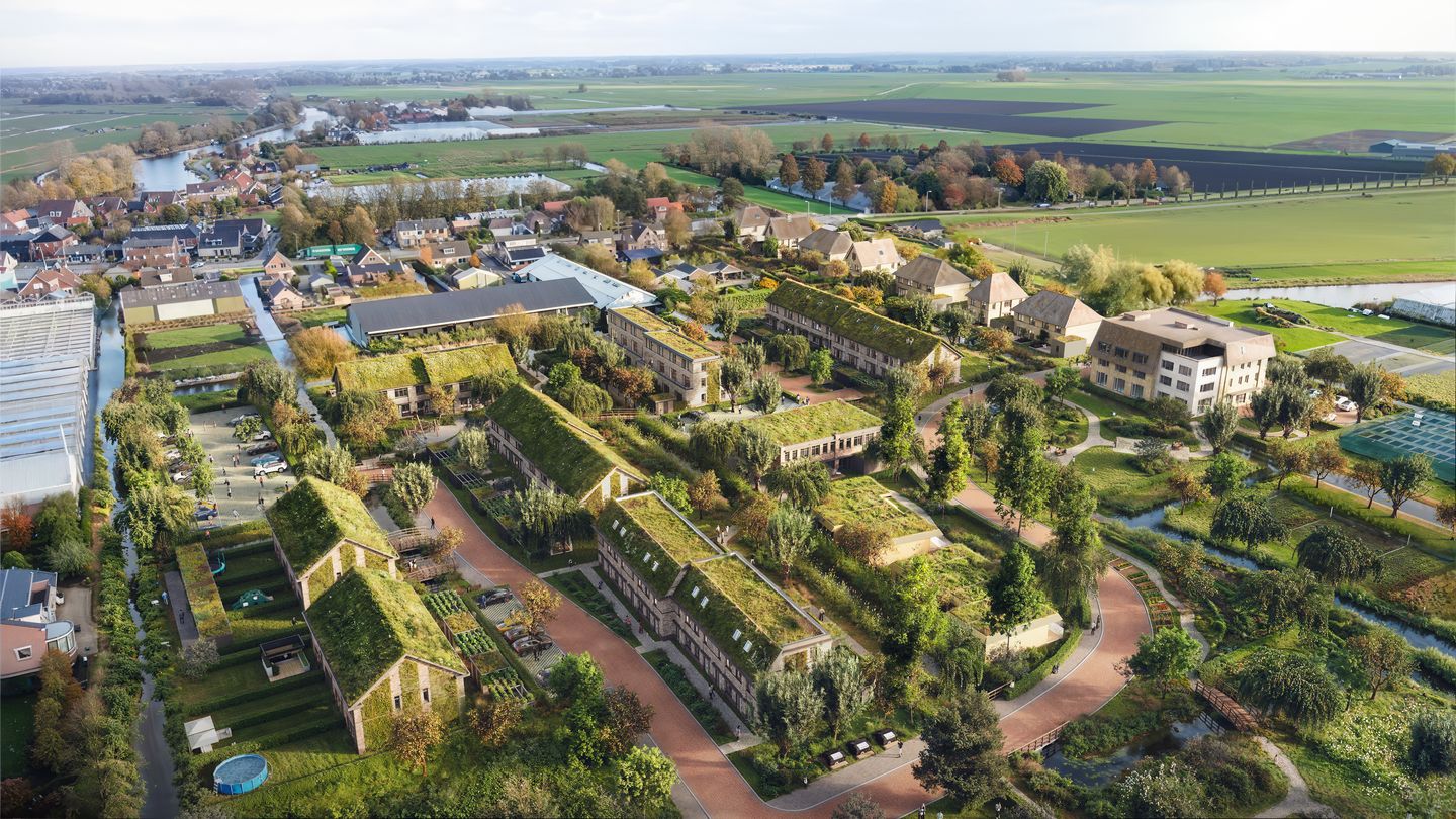 Korenbloem (Bouwnr. 5)
