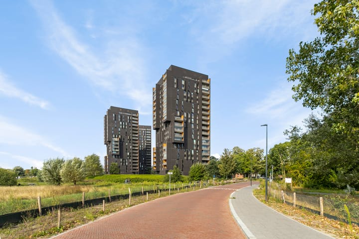 Dirk Hartogstraat 11