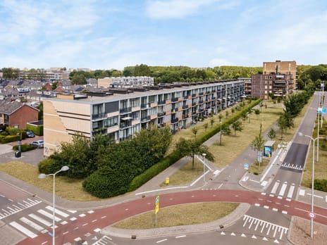 Lupinesingel 270