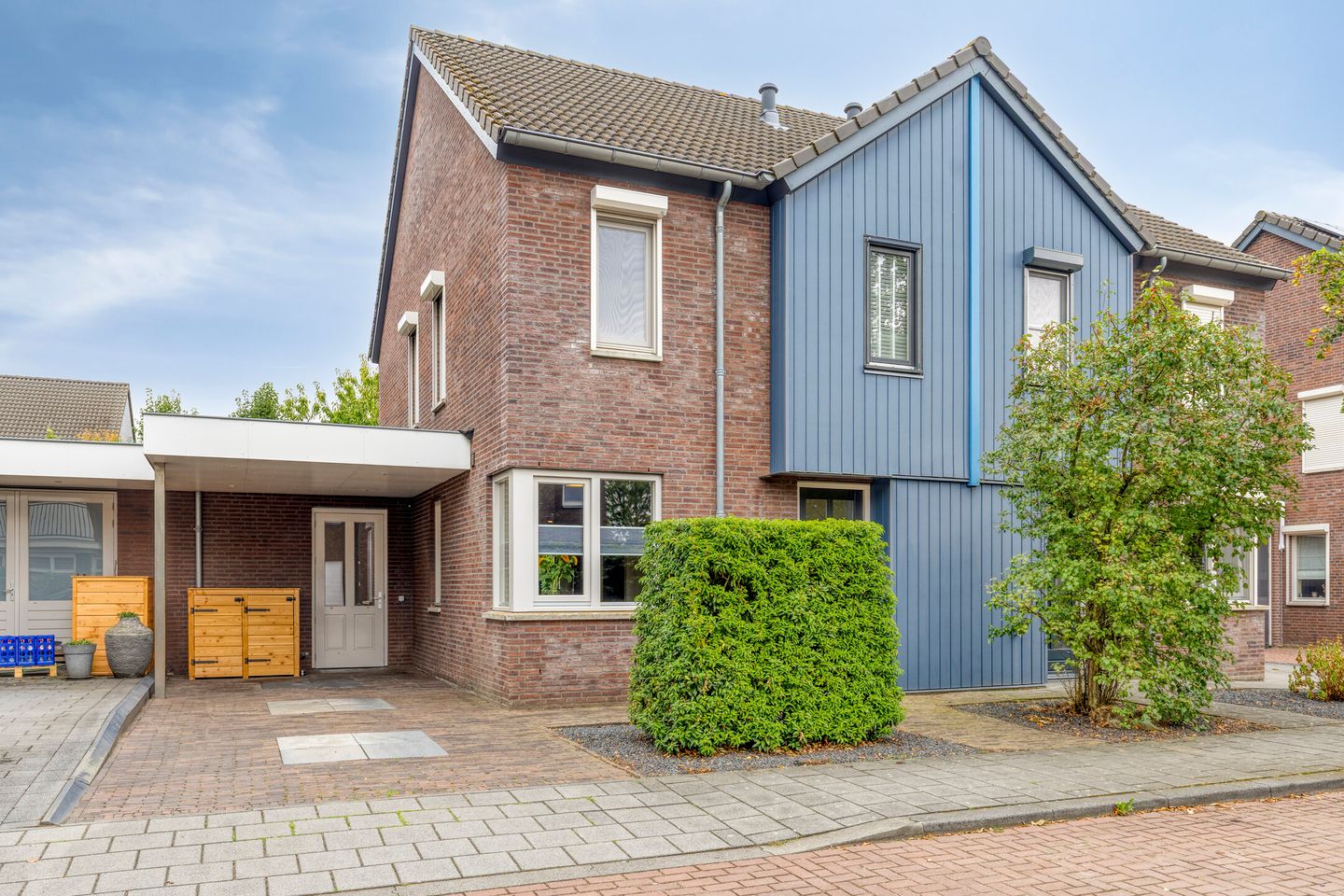 Paardebloem 20