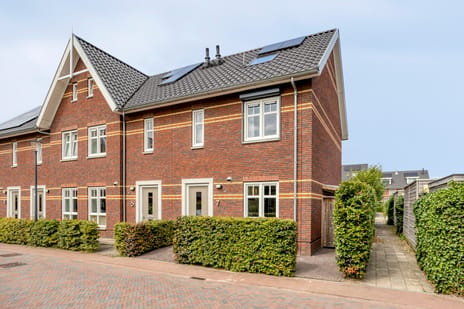 Aalscholver 7