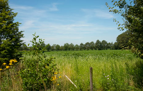 Kortenroelefsweg 2