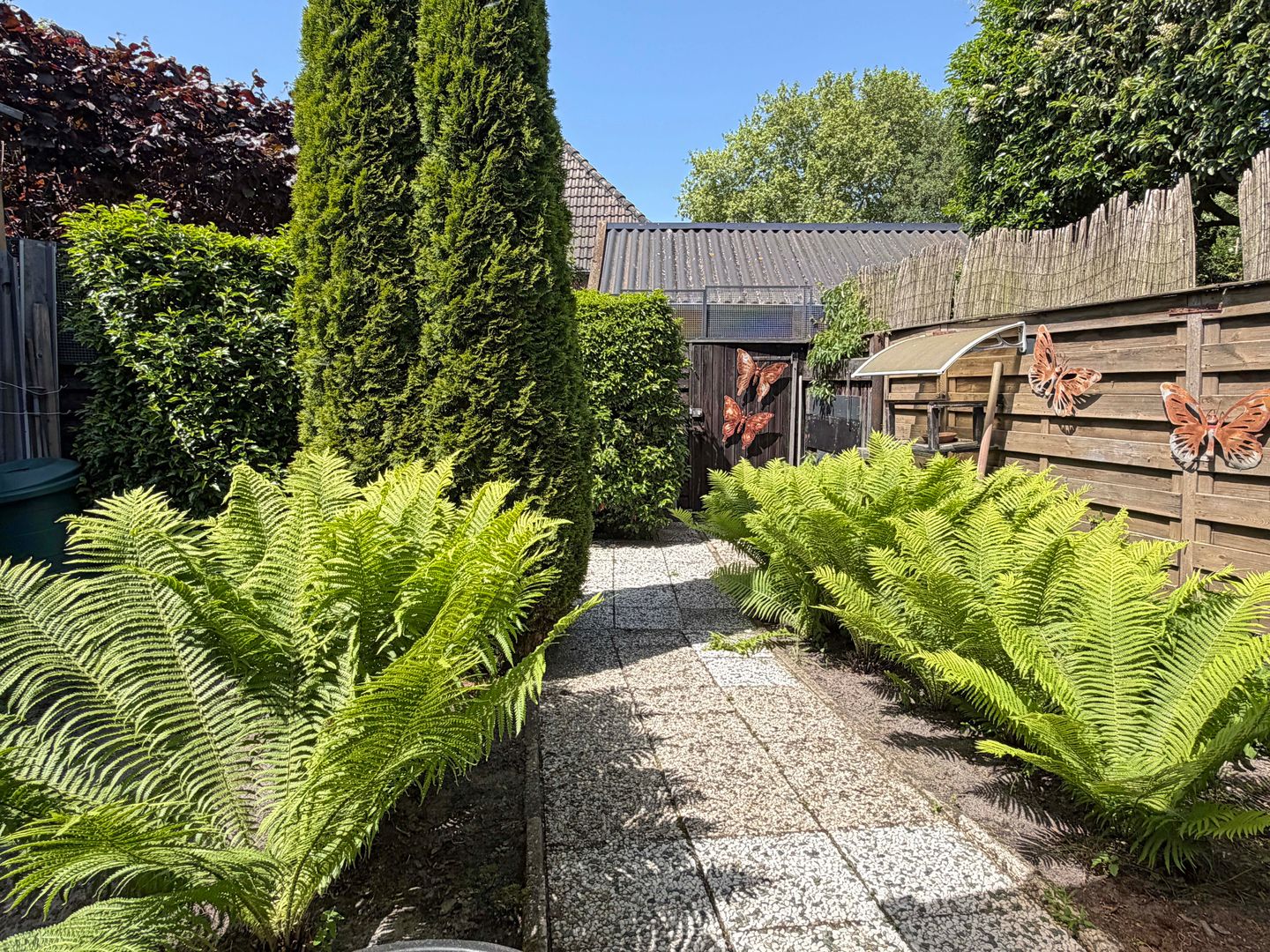 David Krammerstraat 65