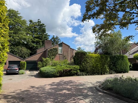 Goudwespmeent 15