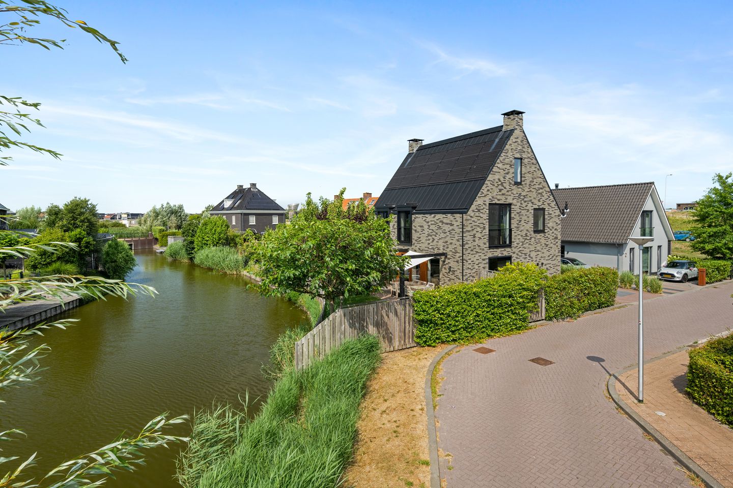 Aalscholver 4
