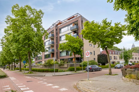 Alard du Hamelplaats 138