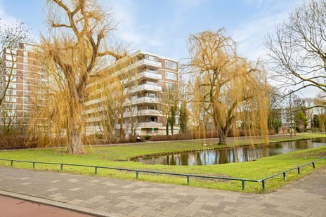 Wilgenplaslaan 384