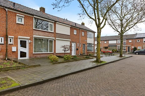 Wijnruitstraat 31