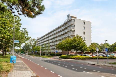 Merelstraat 238