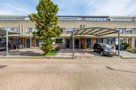 Damhertstraat 42