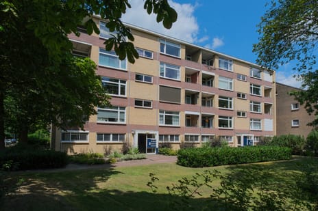 Dommelstraat 24