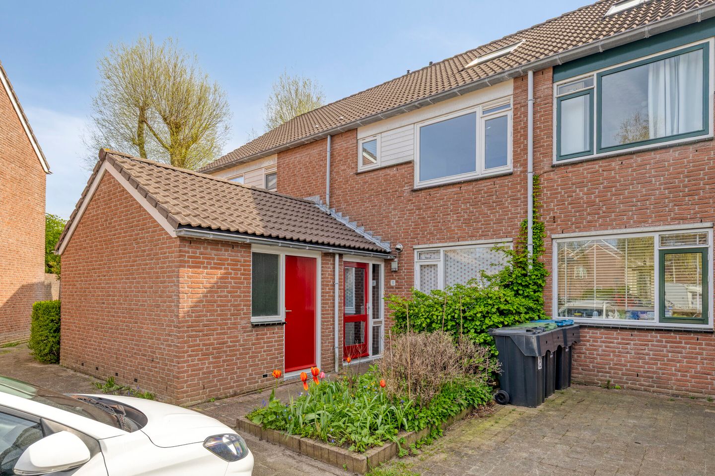 Beekforel 10