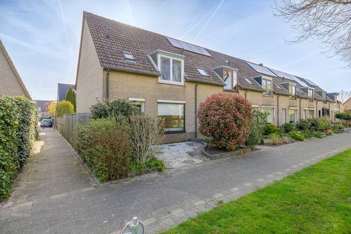 Van Pallandtvliet 21