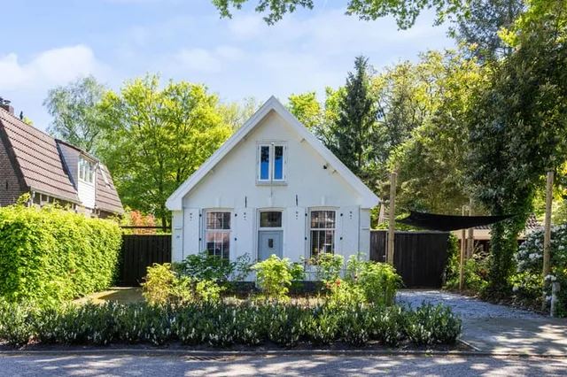 Holthuis 37