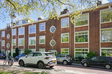 Aronskelkweg 258