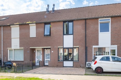 De Griffioen 60